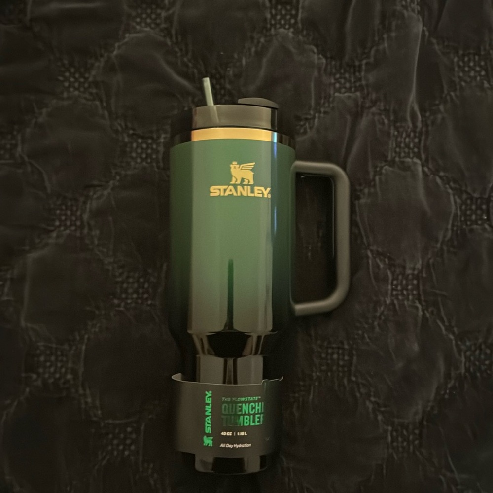Stanley 40oz Stainless Steel Tumbler Target Exclusive Elphaba💚